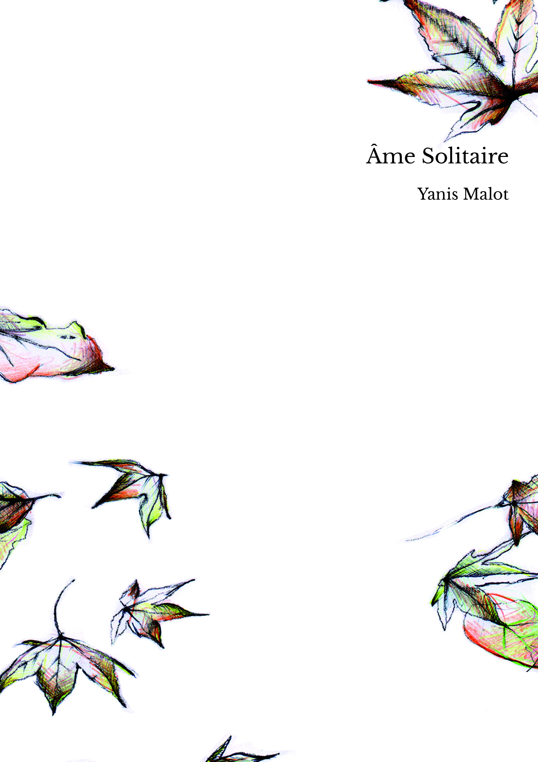 Âme Solitaire