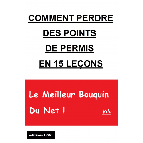 Comment Perdre Des Points De Permis En - Vilo