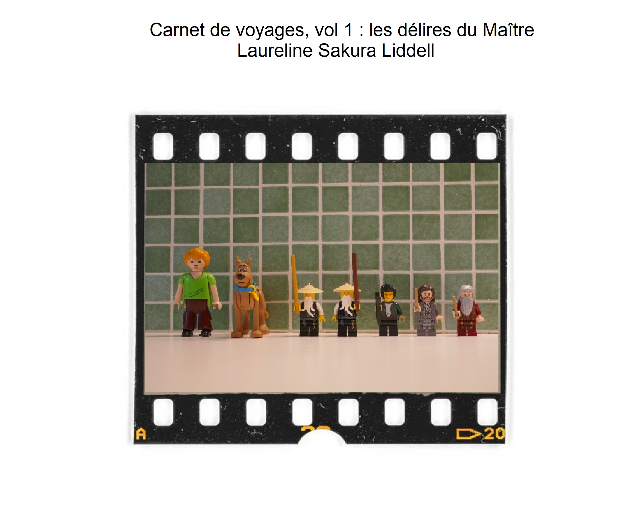 carnetdevoyagesvol1lesdéliresdumaître