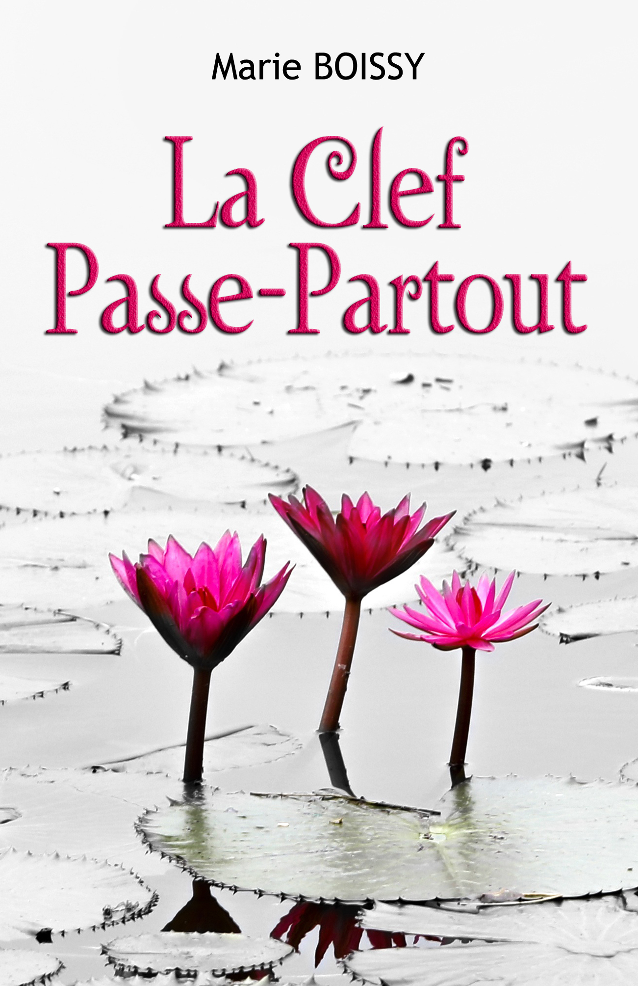 LA CLEF PASSE-PARTOUT - Marie BOISSY