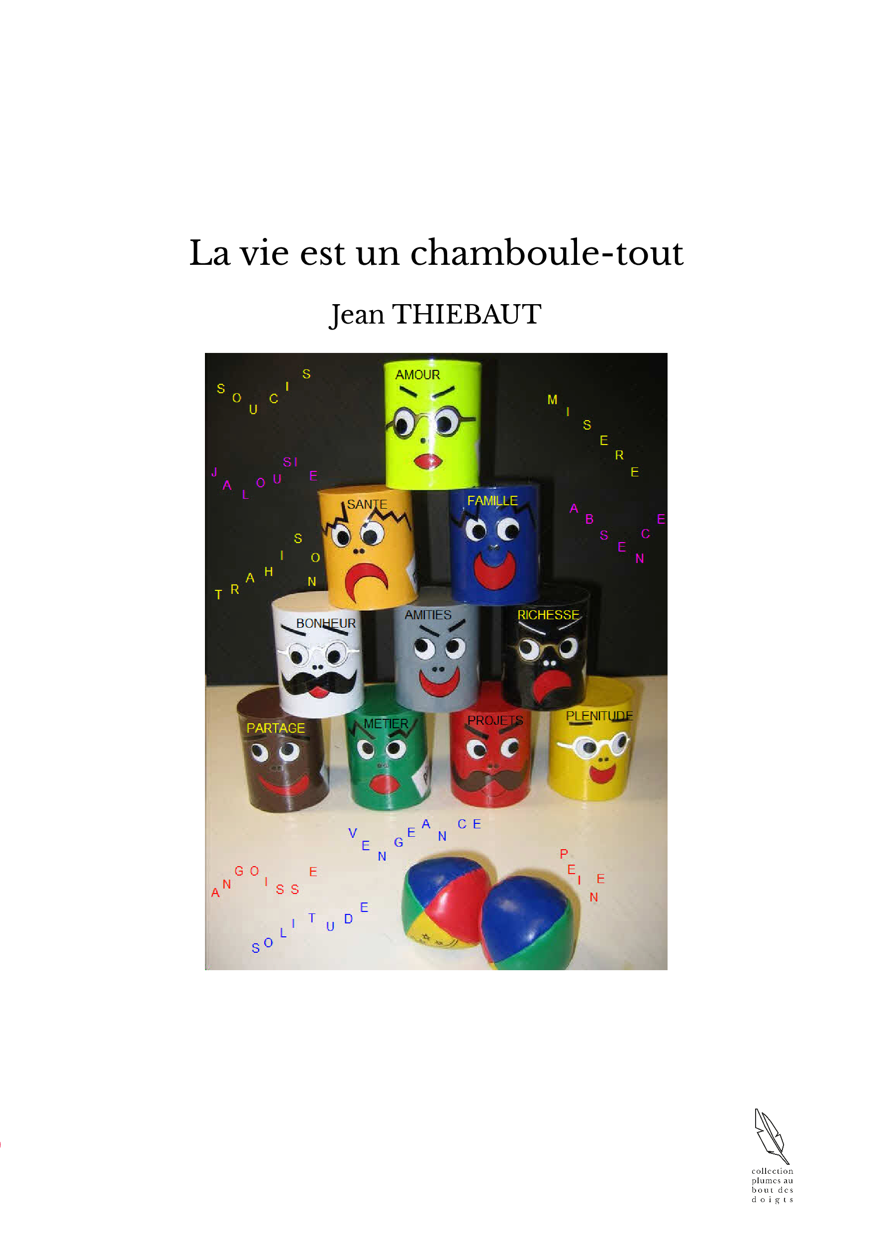 Album jeunesse : La visite chamboule-tout !