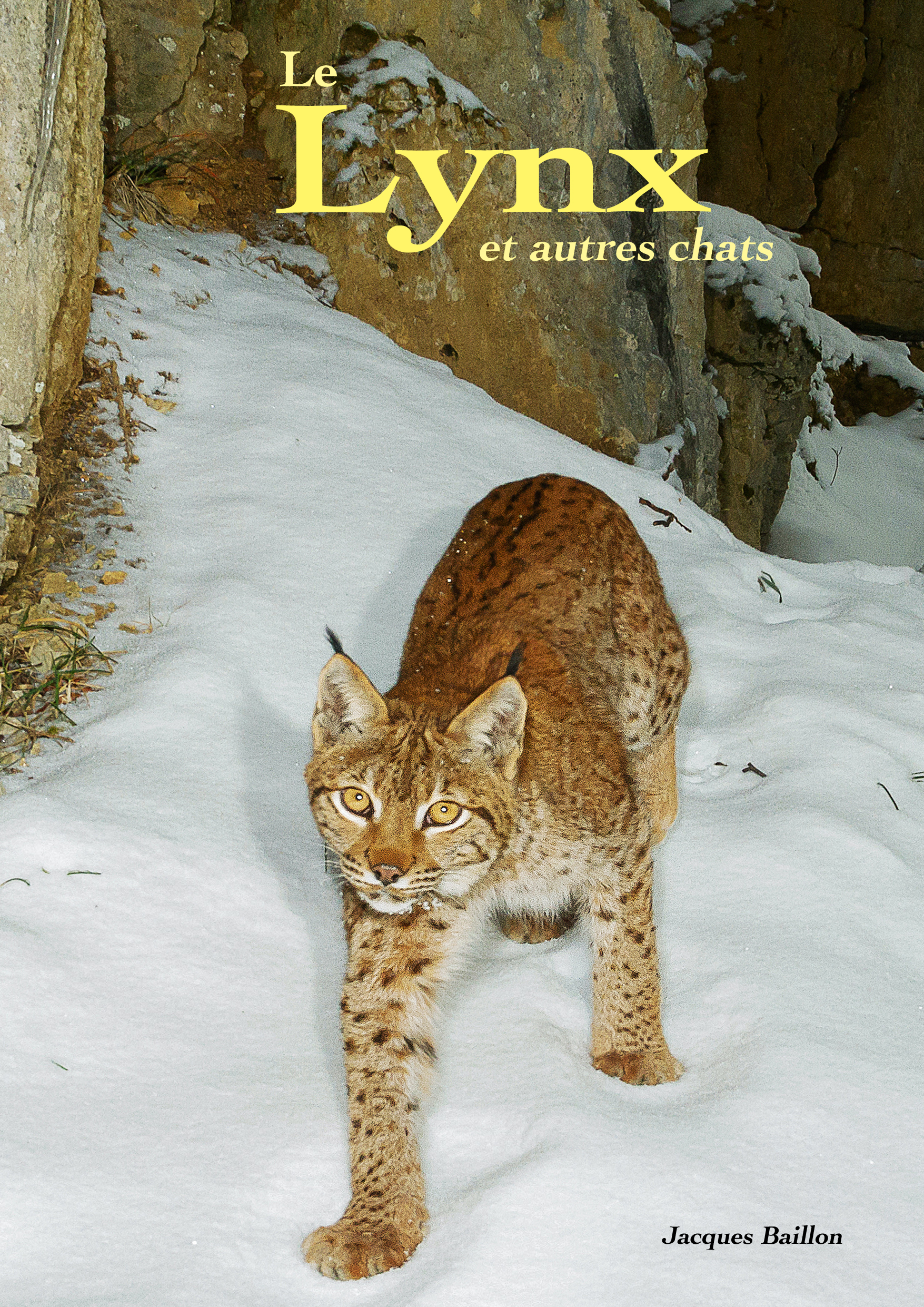 Le Lynx et autres chats - Jacques Baillon