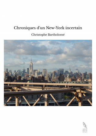 Chroniques d'un New-York incertain