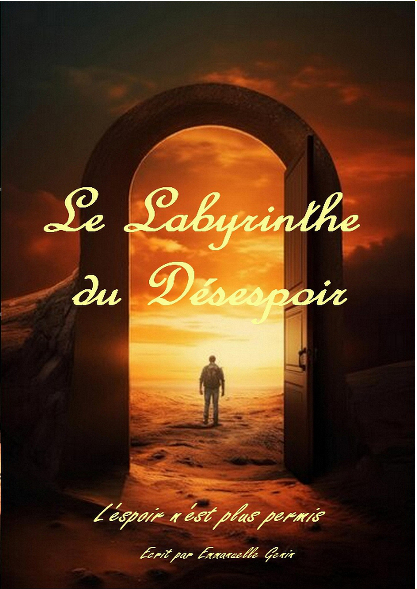 Le labyrinthe du désespoir - Emmanuelle GENIN