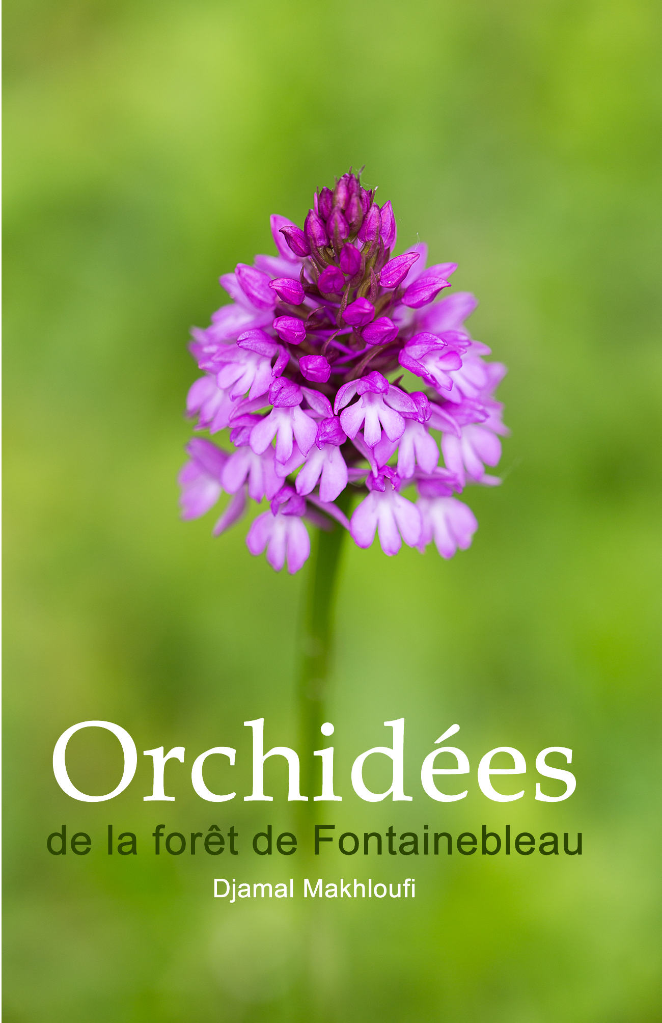 Les Orchidées de Fontainebleau