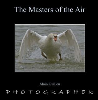 The Masters of the Air