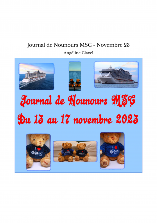 Journal de Nounours MSC - Novembre 23