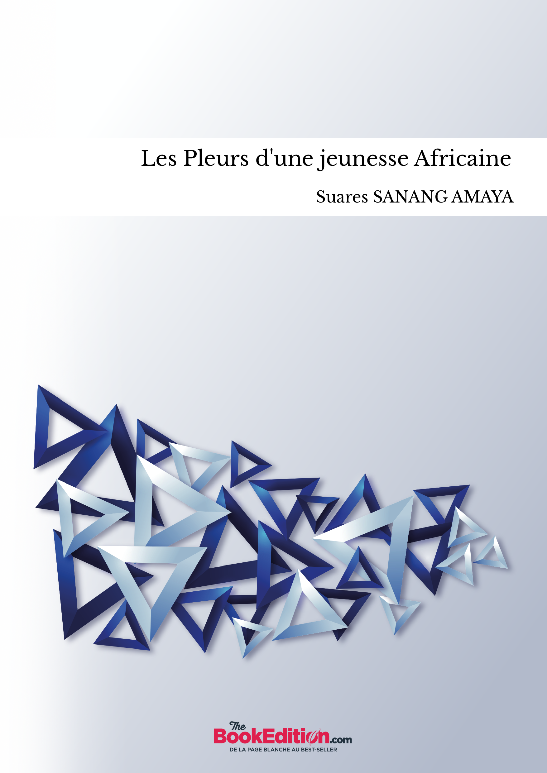 Les Pleurs d'une jeunesse Africaine 