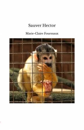 Sauver Hector