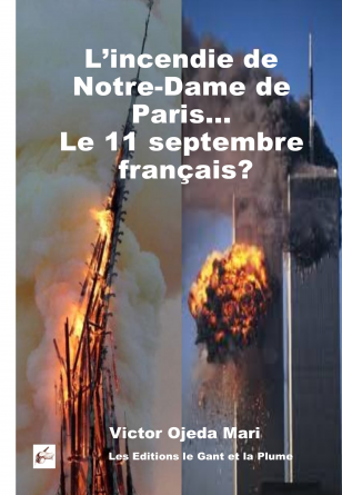 L’incendie de Notre-Dame de Paris 