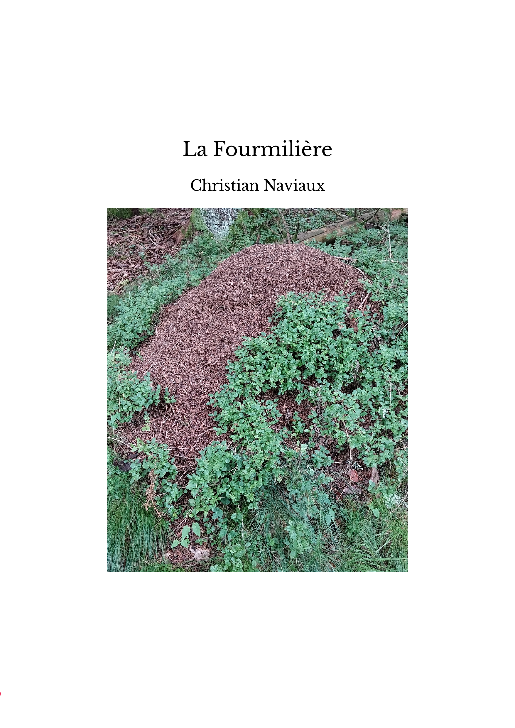 La Fourmilière