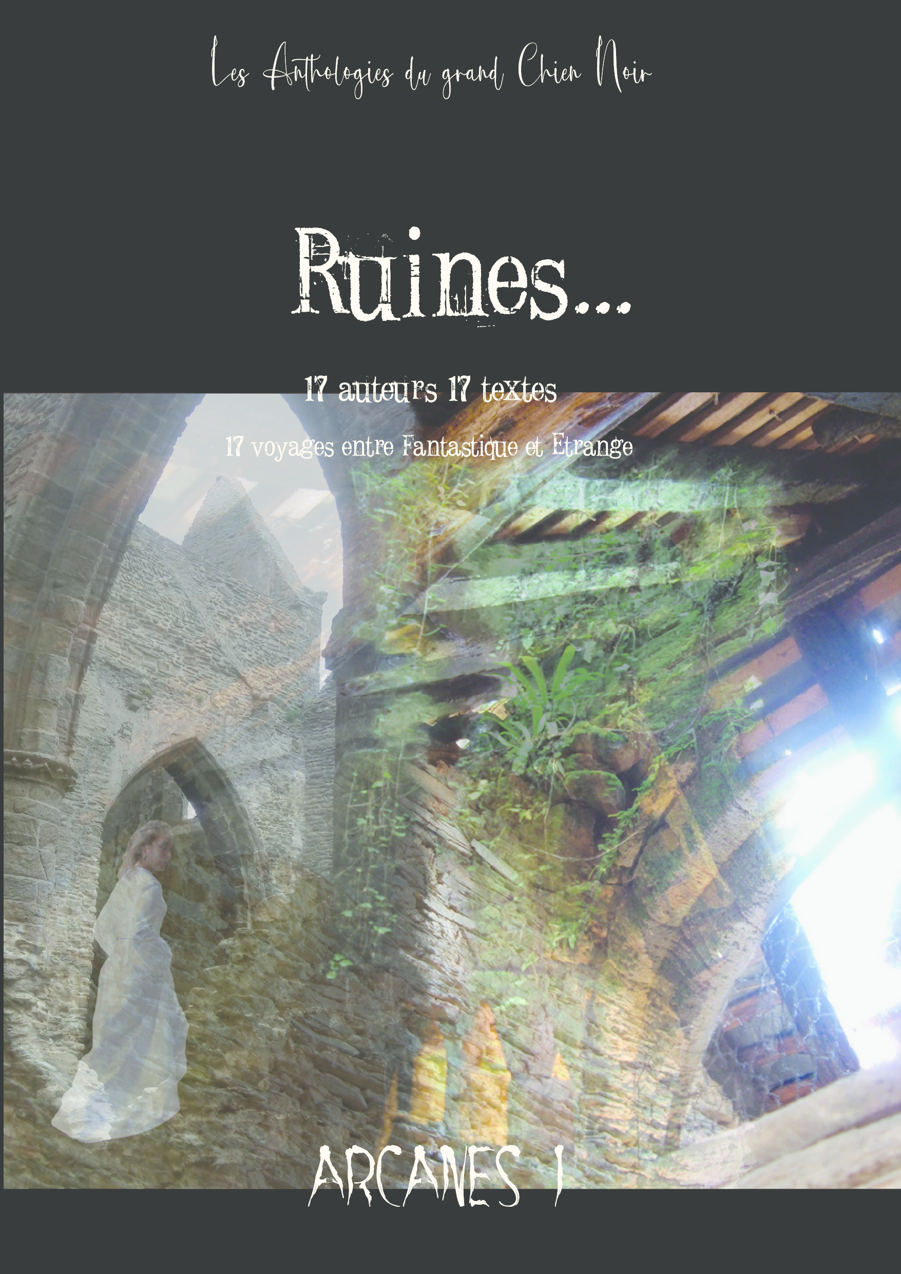 Ruines... 17 auteurs 17 textes 