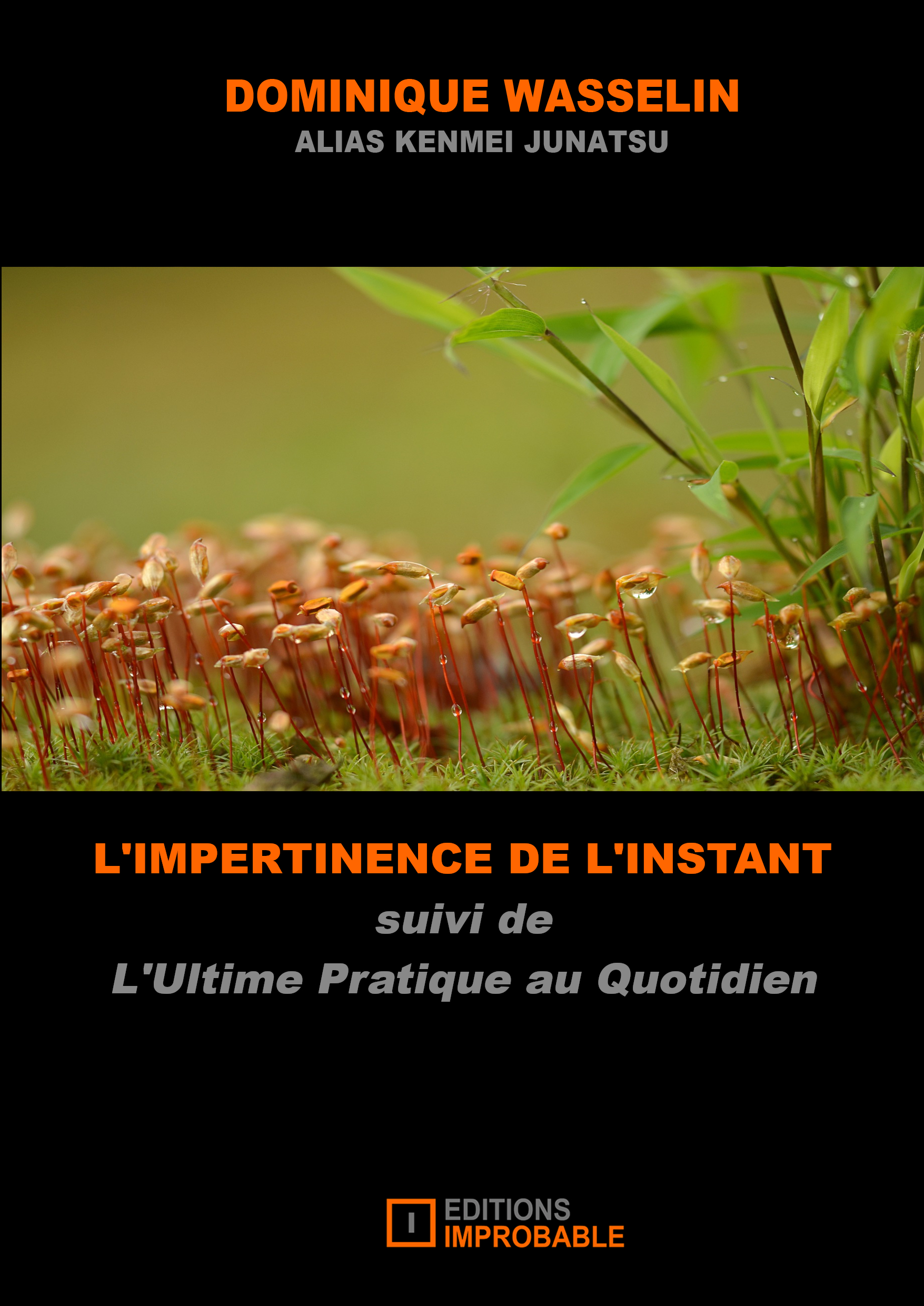 L'IMPERTINENCE DE L'INSTANT