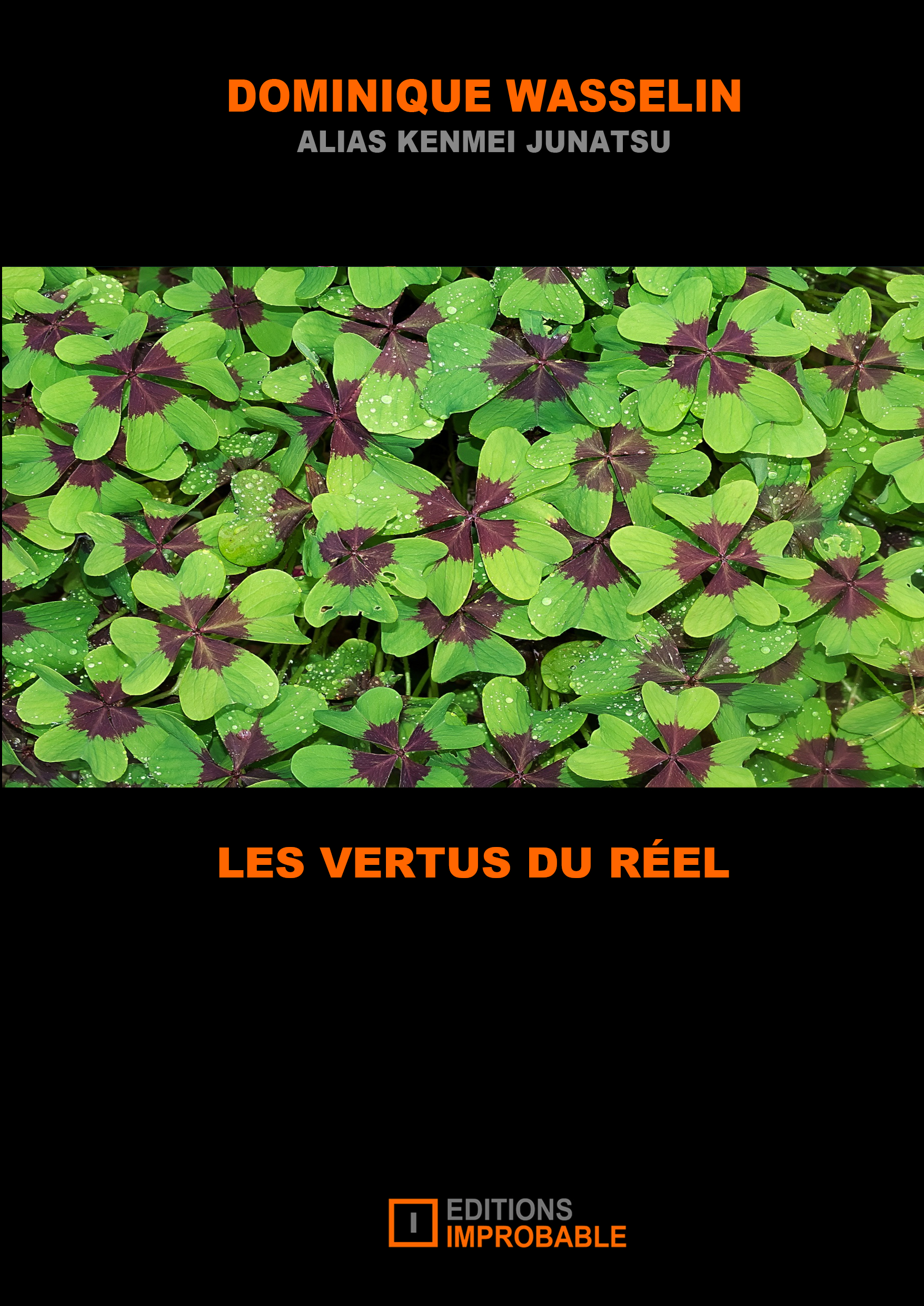 LES VERTUS DU RÉEL