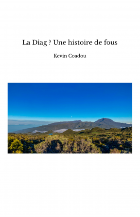 La Diag ? Une histoire de fous