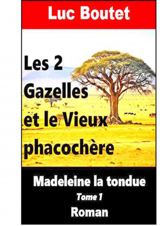 Les 2 Gazelles et le Vieux phacochère