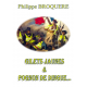 Gilets Jaunes et pognon de dingue...