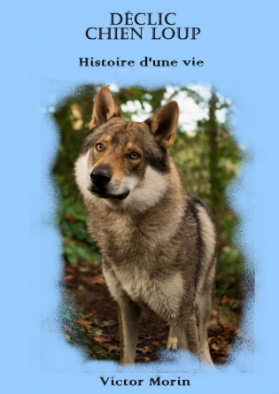 Déclic Chien loup