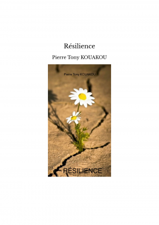 Résilience