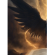 LA BIBLE DE LUCIFER T1 L'Origine du Ma