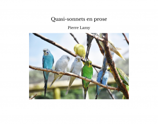 Quasi-sonnets en prose