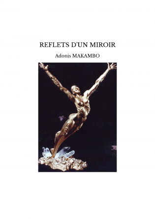 REFLETS D'UN MIROIR