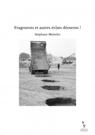 Fragments et autres éclats déments !