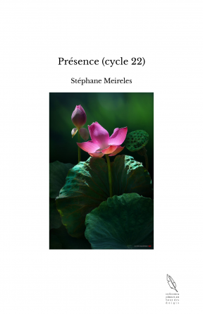 Présence (cycle 22)