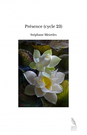 Présence (cycle 23)