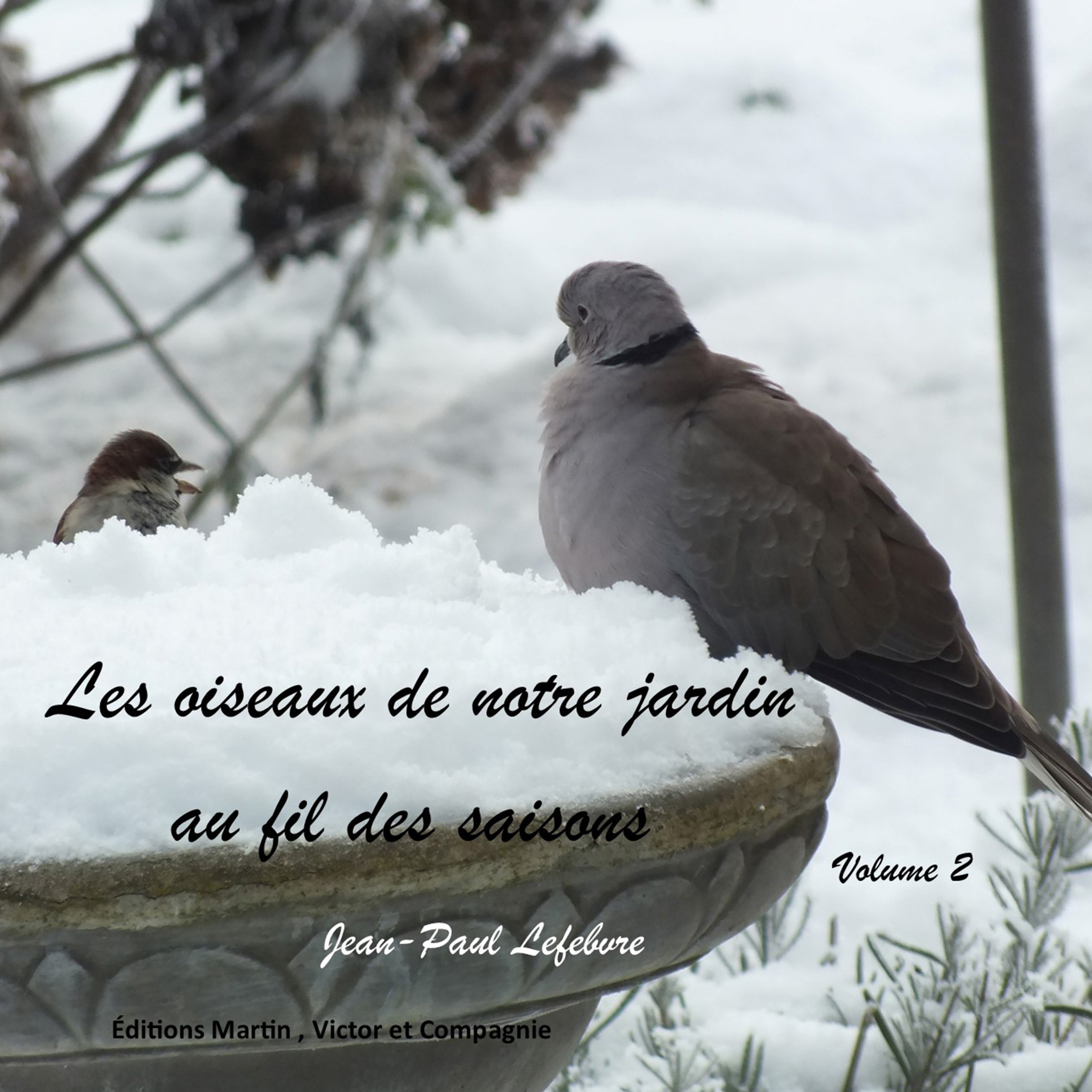 les oiseaux de notre jardin 