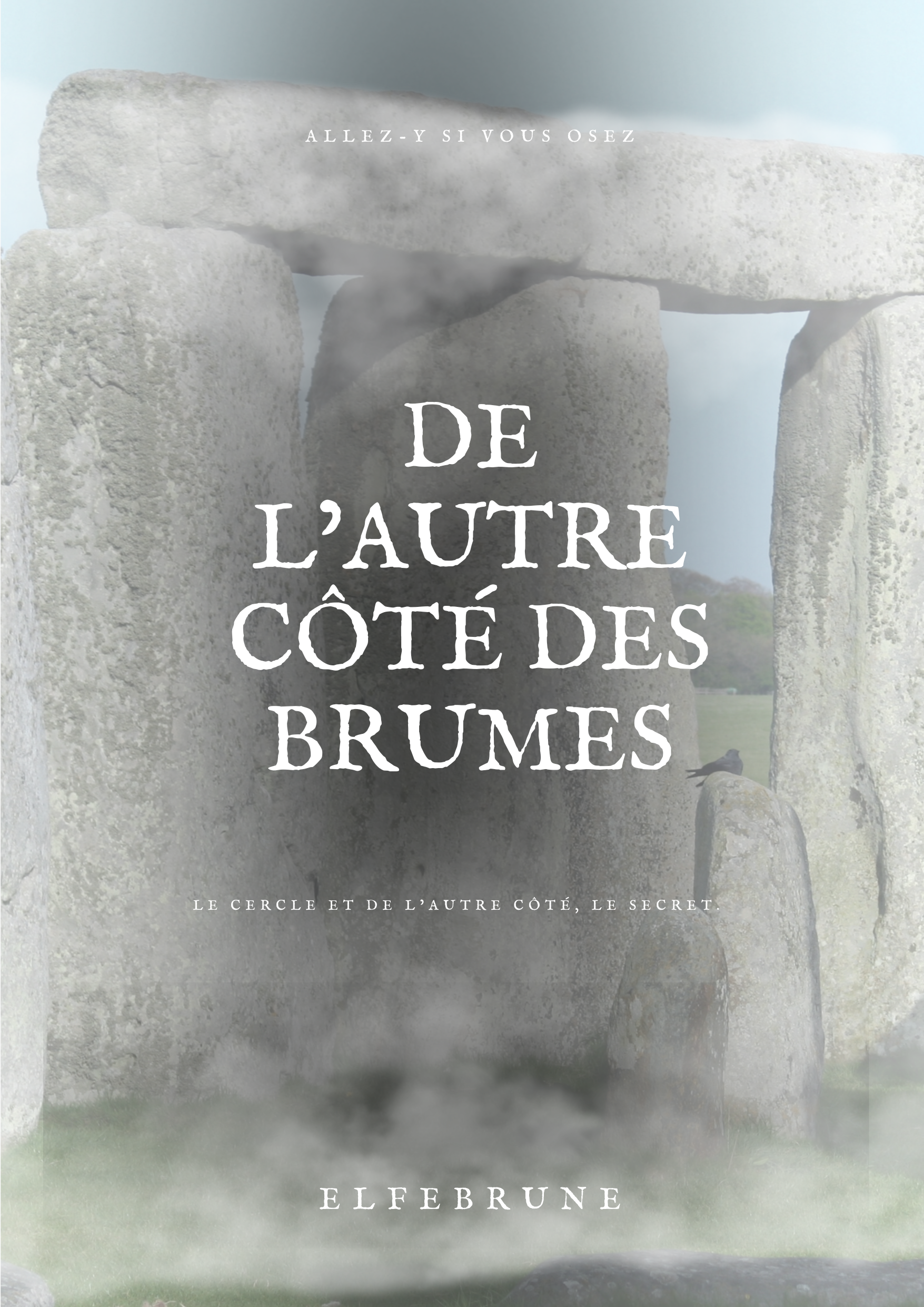 DE L'AUTRE CôTE DES BRUMES