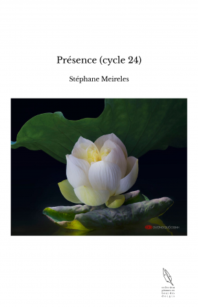 Présence (cycle 24)