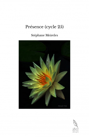 Présence (cycle 25)