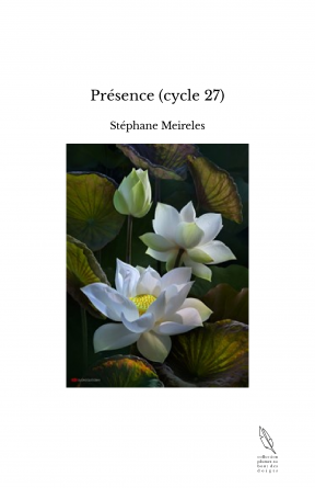 Présence (cycle 27)