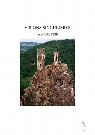 VISIONS SINGULIERES