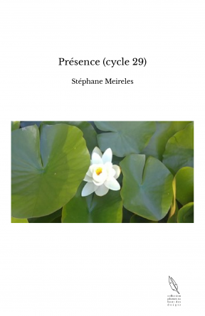 Présence (cycle 29)