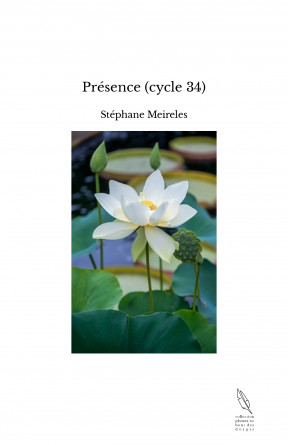 Présence (cycle 34)