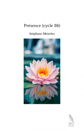 Présence (cycle 36)