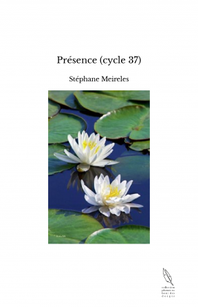 Présence (cycle 37)