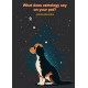 What does astrology say about your pet