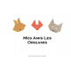 Mes Amis Les Origamis