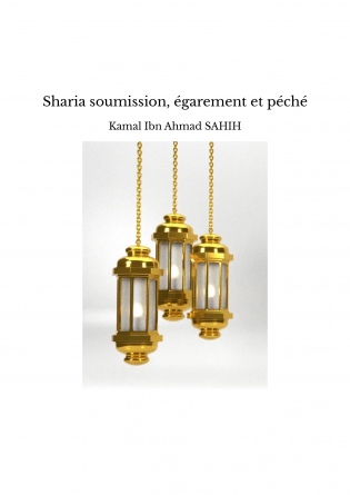 Sharia soumission, égarement et péché