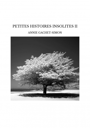 PETITES HISTOIRES INSOLITES II