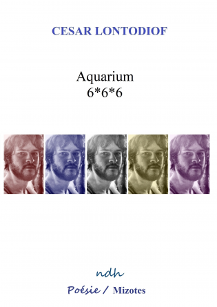 AQUARIUM 6*6*6