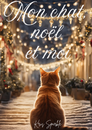 Mon chat, noël et moi