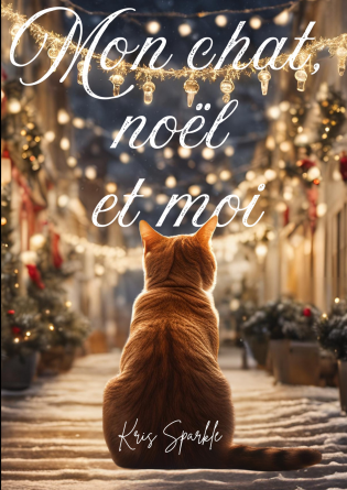 Mon chat, noël et moi