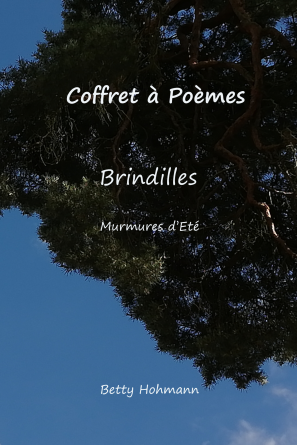 Brindilles - Murmures d'été