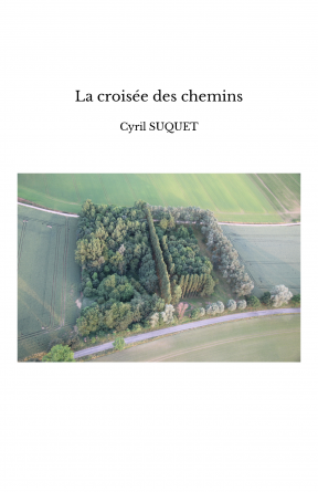 La croisée des chemins