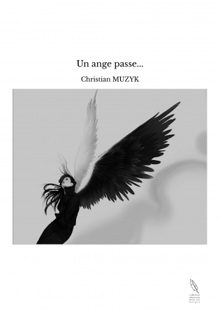 Un ange passe...