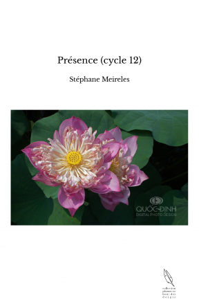 Présence (cycle 12)